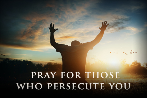 Daily Mass Theme